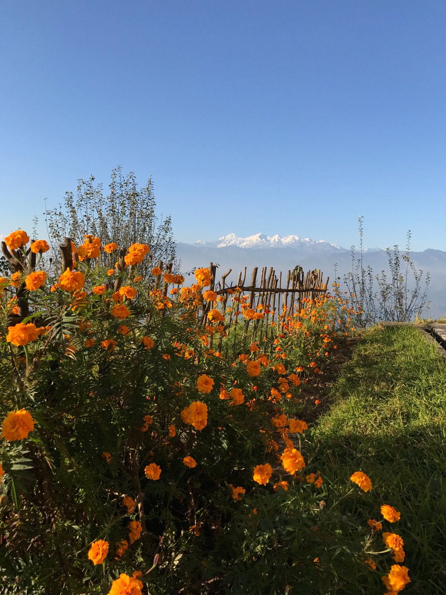 wilsa262's tweet photo. Made it to our wonderful campsite at Kakani #powerofrunning #nepal #Himalaya #dosntgetbetter @ImpactMarathons https://t.co/xQbwm6DNa0