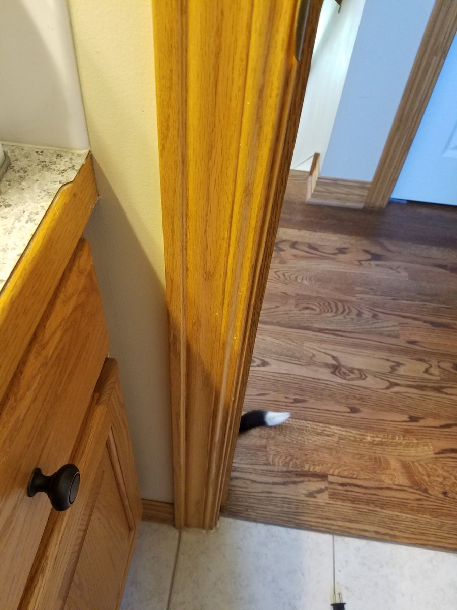 THerdler's tweet image. Even when you think she's not around...... 😍😍