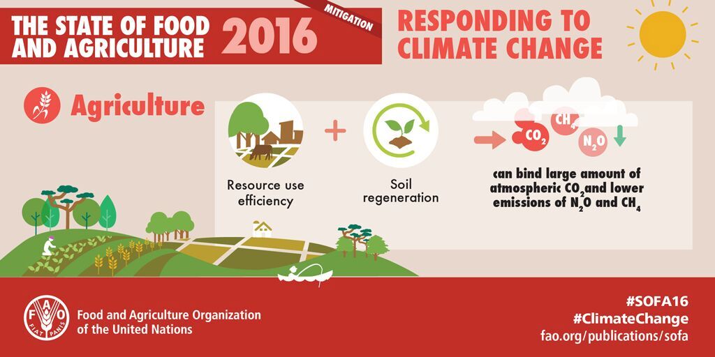 nov 2016 resilience and sustainability