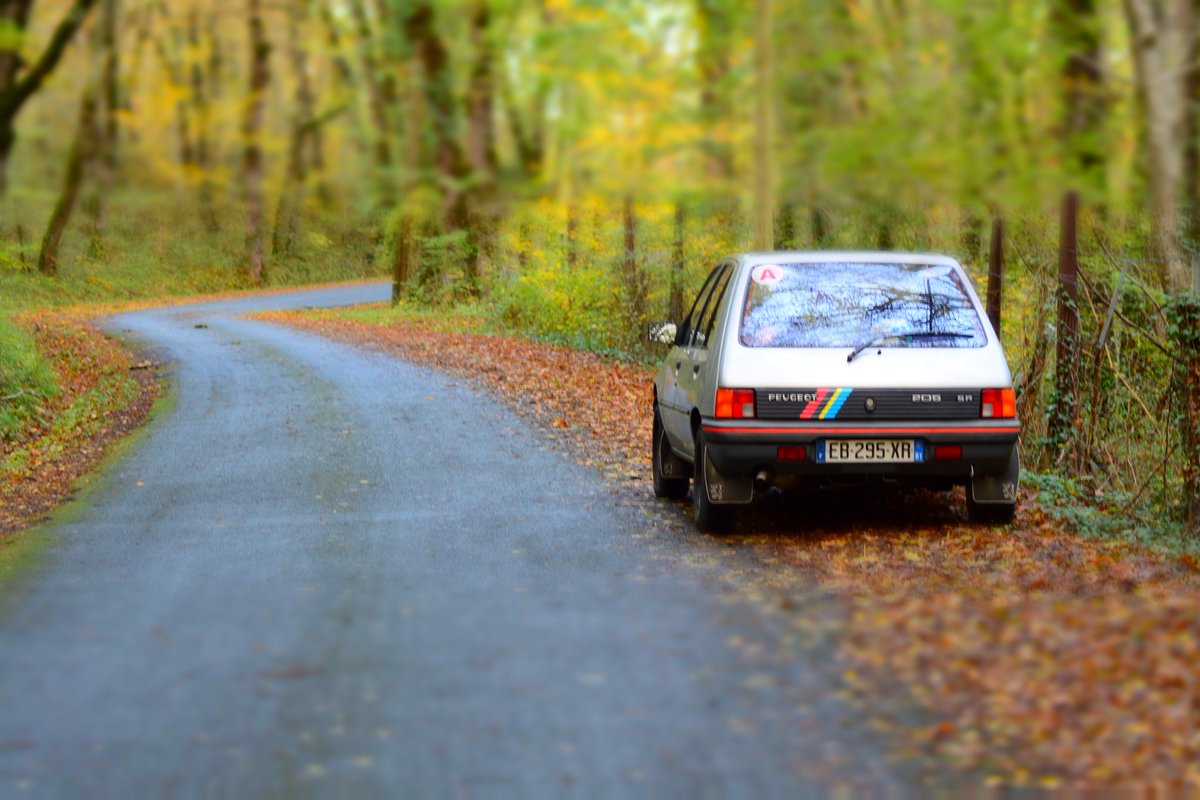 Cindy Fabre tweet media