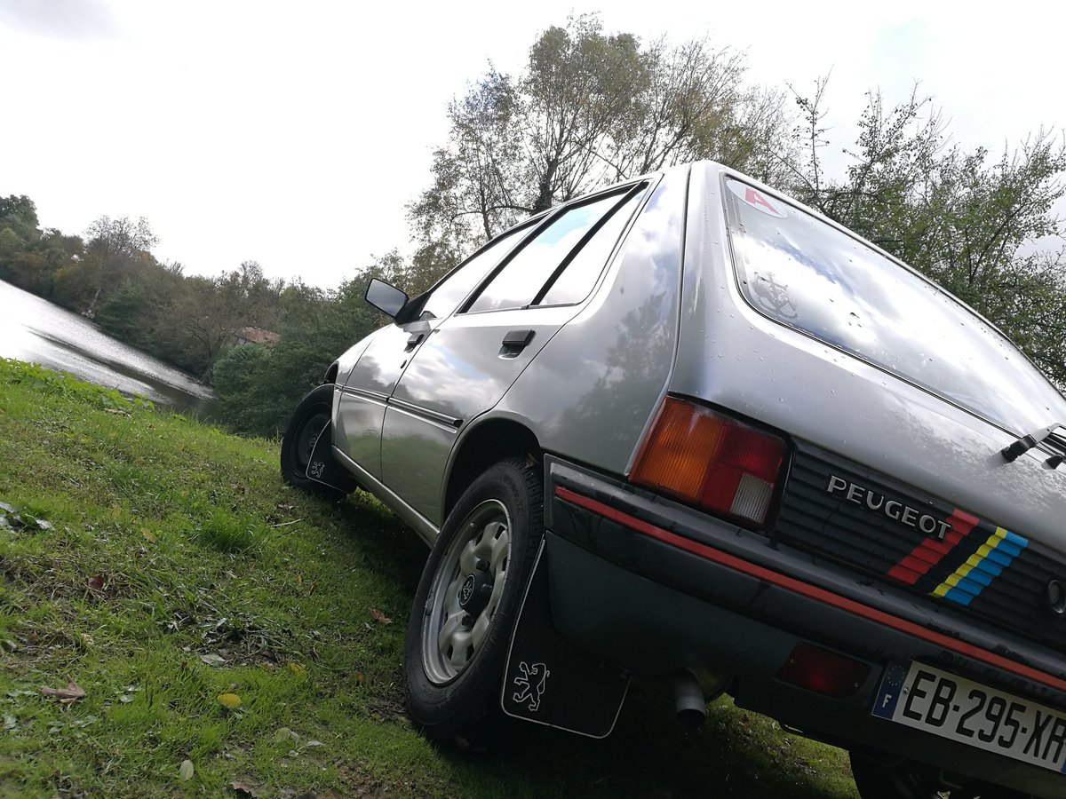 Cindy Fabre tweet media