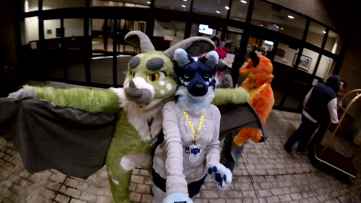 TogoWolf11's tweet photo. @KithKyubi @SaphiraWolf Love this picture of you guys! Had to share. :) #furpocalypse2016 #fp2016 #fursuit https://t.co/LJrWt3NPt5
