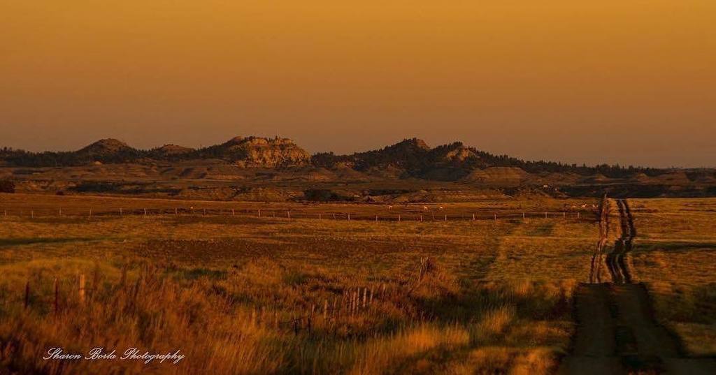 visitsemontana's tweet photo. Sometimes there are no words for beauty. 📷: @sharonborlaphotography 
#visitsemt #mysemt #southeastmontana #montanam… https://t.co/9Q5z9ttzoF