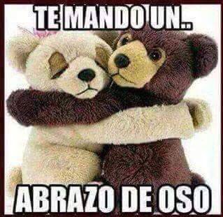 Shu_la75's tweet photo. @AnidemPato @Lapinou1841 @Gfranketa7 @RoaYovanny @limpamax @ynunmr @mariamedinacas2 @mariamarreto @cgamezzav q lindo oso 😃☺️gracias https://t.co/tjX3aCOsQD