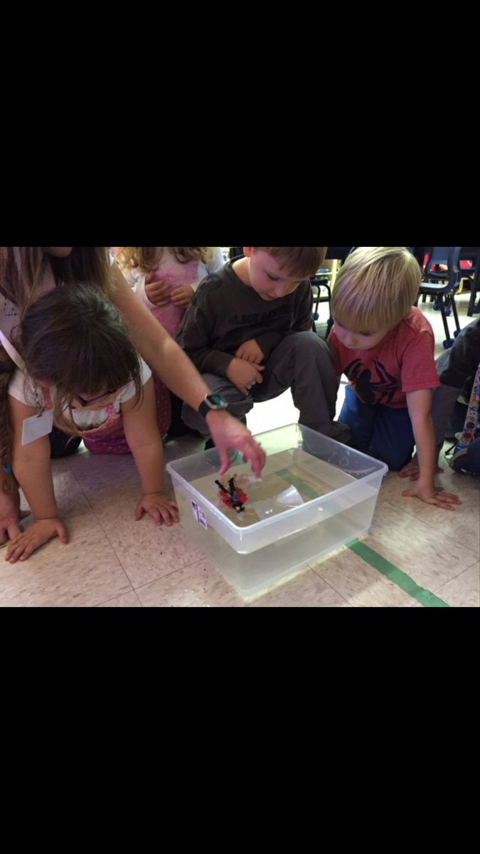 SaintRoseD8's tweet image. STEM kindergarten activity building rafts for the pirate that won&apos;t sink. #ScienceTechnologyEngineeringMathematics