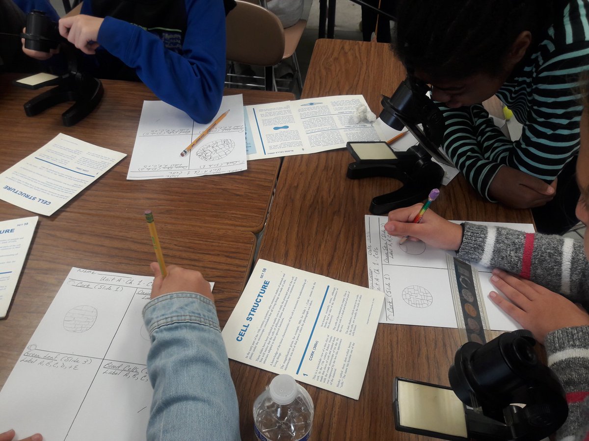 Our science lab on animal and plant cells.