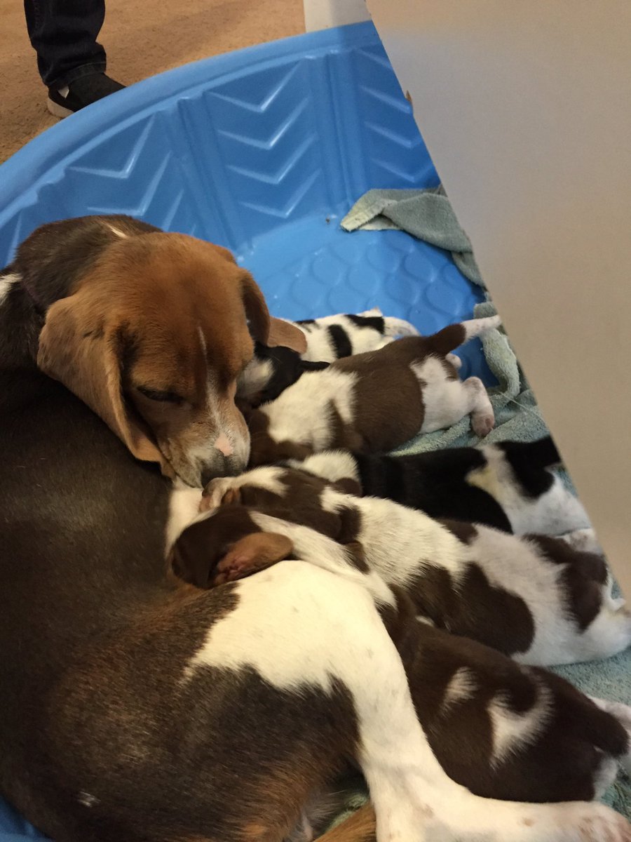 In2sidSimons's tweet image. So this is happening yay!!