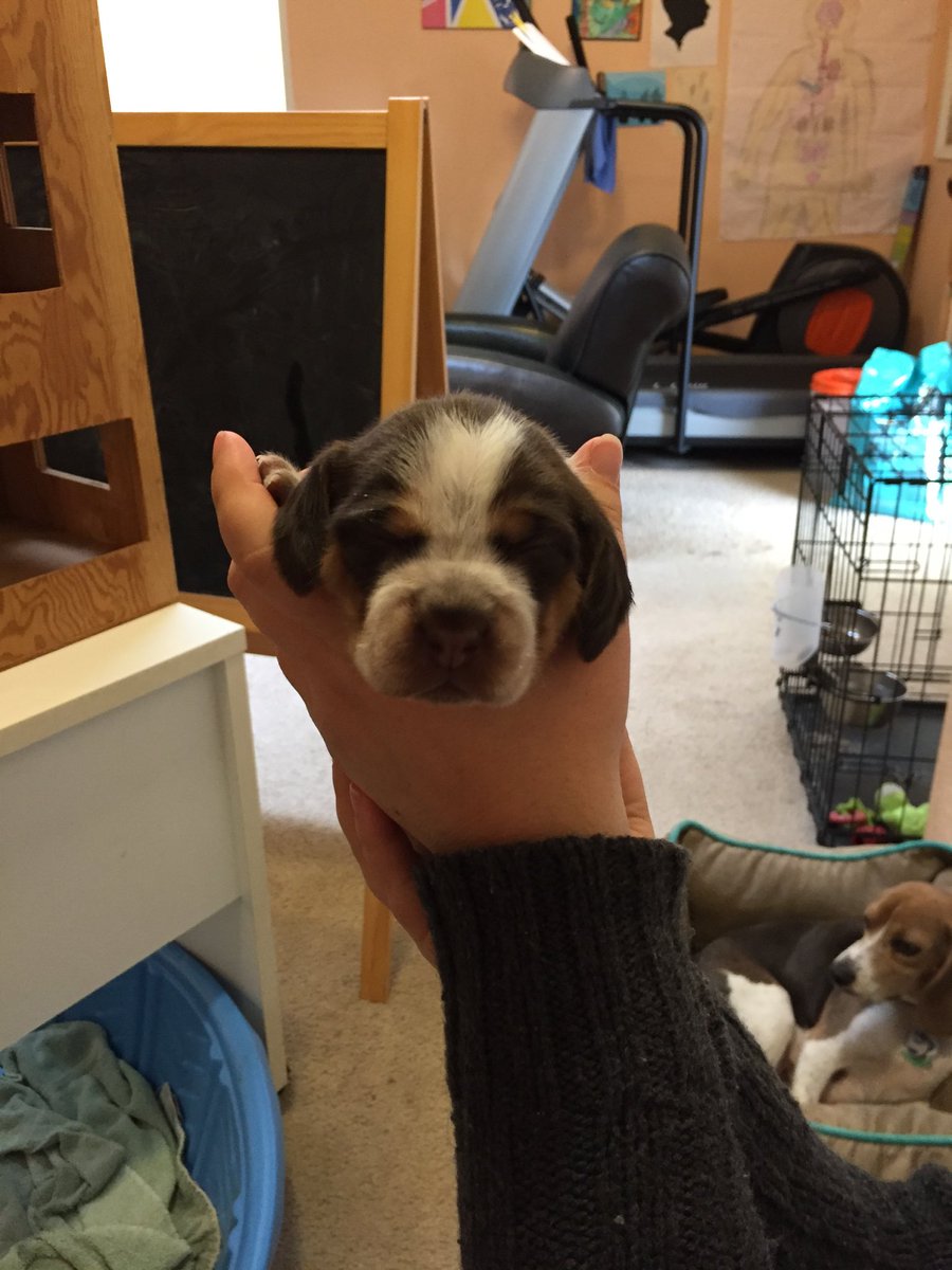 In2sidSimons's tweet image. So this is happening yay!!