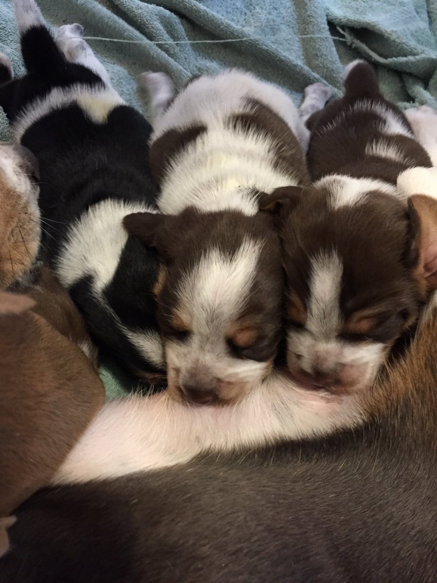 In2sidSimons's tweet image. So this is happening yay!!