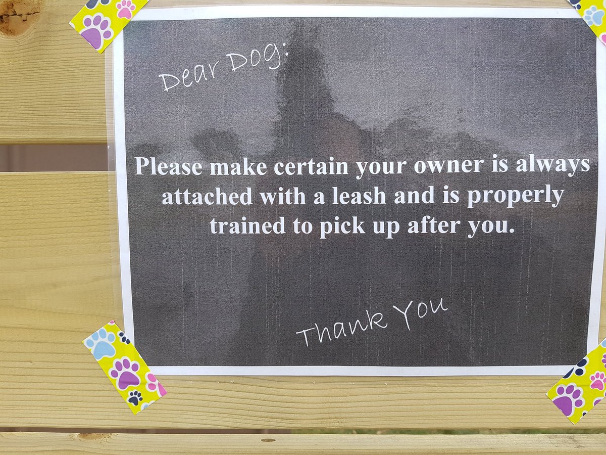 Davixi_Eenobi's tweet image. Everytime I go walking for coffee along 8th Ave I see this #yycdogs #yycsigns