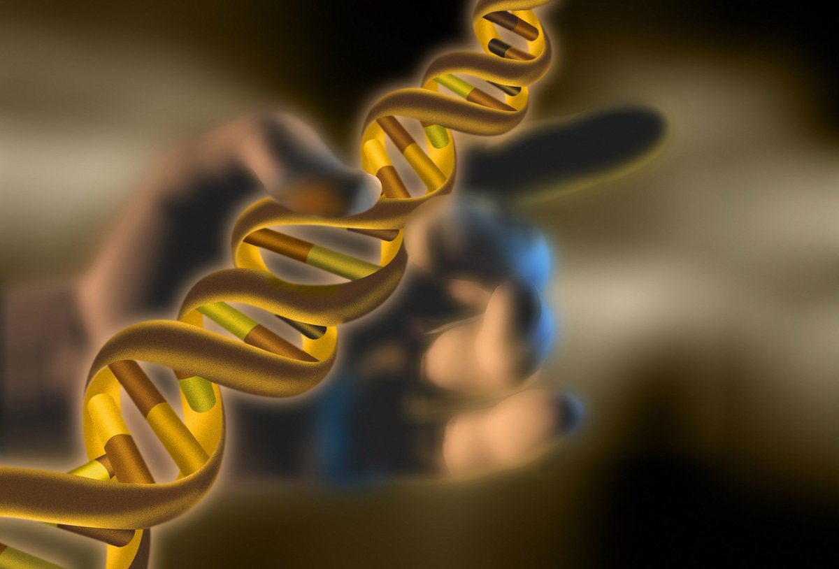 Chinese scientists first to use CRISPR gene-editing with human cancer patient cctv-america.com/?p=440779 #CRISPR