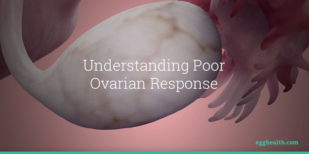 How does poor ovarian response affect your #fertility? bit.ly/2f5tQBO