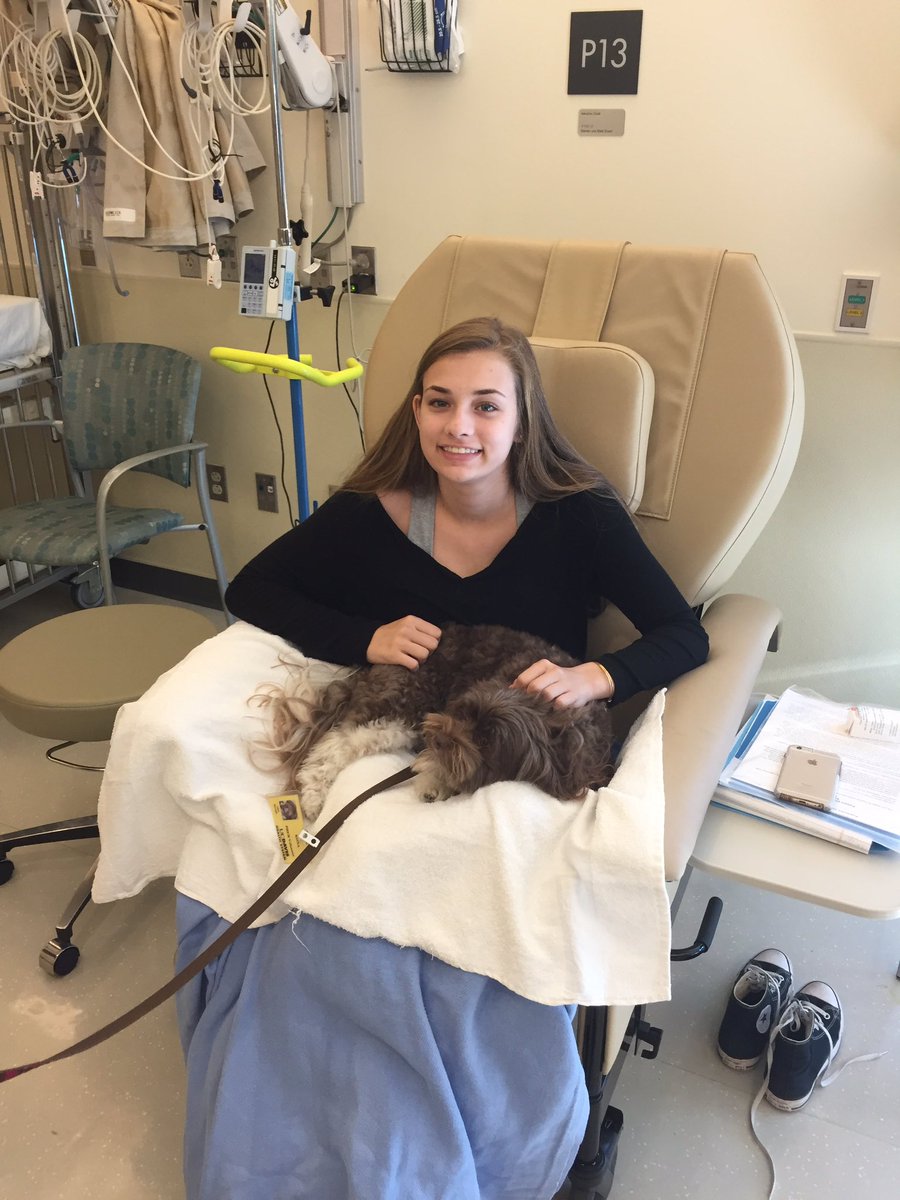 edandshawn's tweet photo. stress dog at the hospital today made my day 💜 https://t.co/azrxflqQBh