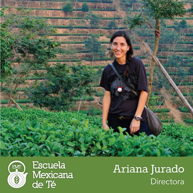 EscuelaMexicanaDeTé tweet media