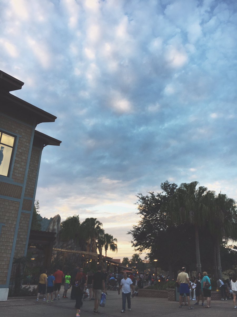 easyangeI's tweet photo. hi!! i'm kate and i love connor and taking pictures of sunsets! i'm always here if you want to be friends hmu πΈπΏπ«#connorfrantatwittermeetup https://t.co/5Z8pbRBBvz