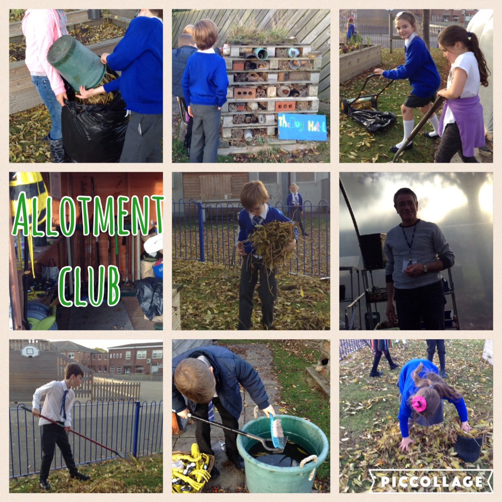 Mosspits Allotment tweet media
