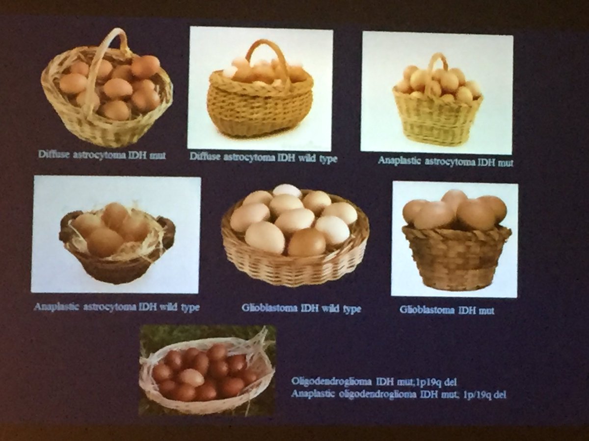 drruthmitchell's tweet photo. There are 2 ways of looking at #braintumours - the rising importance of #molecular classification. Michael Gonzales #CINS16 @TheRMH @unimelb https://t.co/feZ2J5kZyj