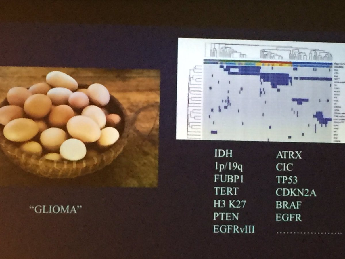 drruthmitchell's tweet photo. There are 2 ways of looking at #braintumours - the rising importance of #molecular classification. Michael Gonzales #CINS16 @TheRMH @unimelb https://t.co/feZ2J5kZyj