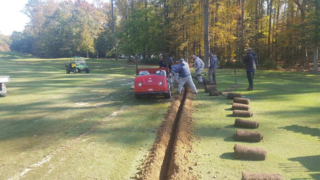 Drainage, drainage and more drainage.