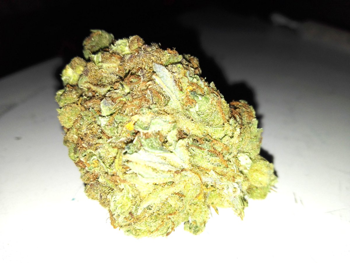 Didi_Dylan_Curc's tweet image. Le paradis brie tellement