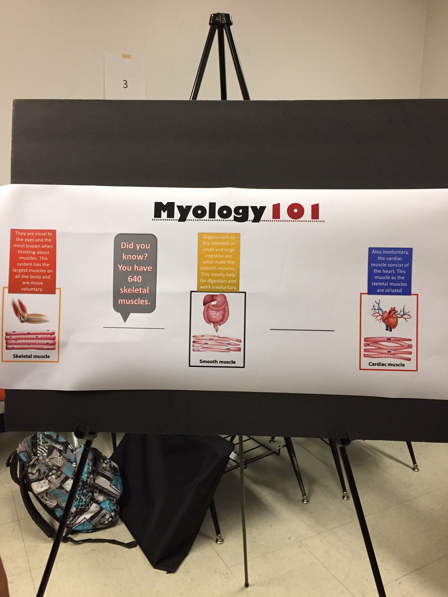rlharding28's tweet photo. Cardiac and smooth muscles are both striated #notjust4geeks https://t.co/msqYVZTvQ4