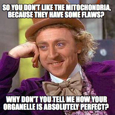 0Mitochondria's tweet photo. https://t.co/VZquXz3oz0