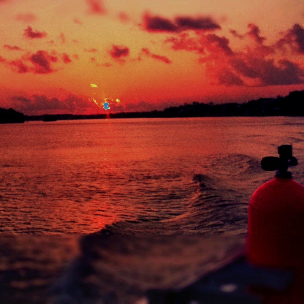 DiveTimeAbaco's tweet photo. Night dive? #divetimeabaco #itsbetterinthebahamas https://t.co/v2Y5kMqBSQ