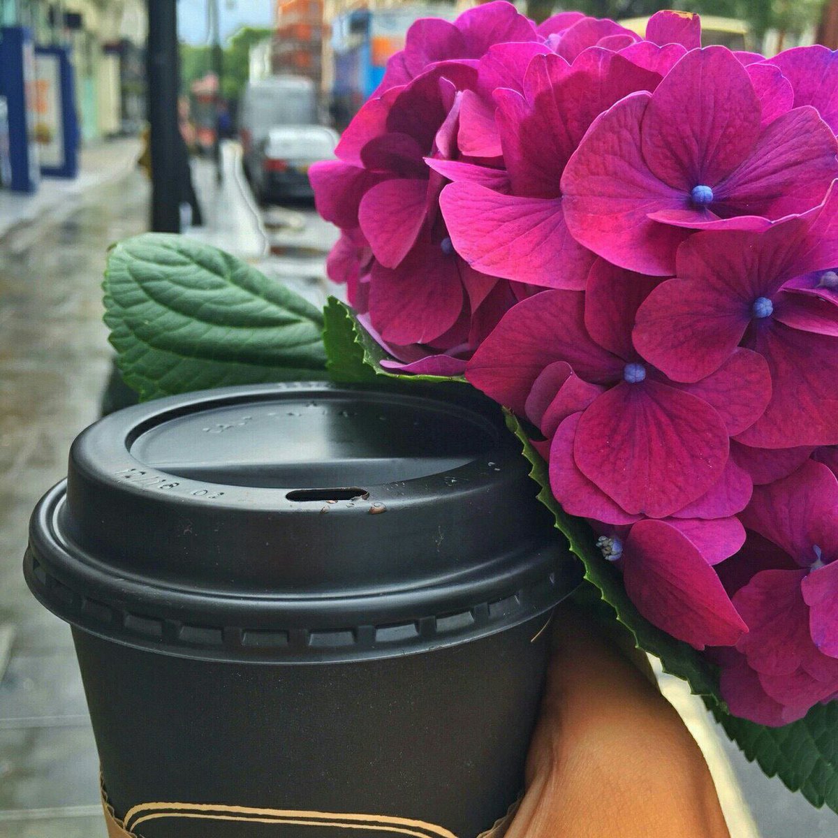 '↓˓❁❥ 
🎶
،
،
،
يا خآلق آلسعاده آستودعنآك آقدآرنآ
 فآكتب لنا السعــآده أين ما كنا 💭💜"

#صبــآح__الــورد ♡
#الثقفي✍🏻️