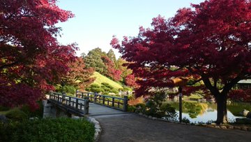 16 松尾寺の紅葉が見ごろに 大阪 和泉市の紅葉スポット 和泉市きまぐれwatch