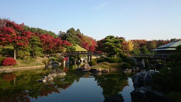 16 松尾寺の紅葉が見ごろに 大阪 和泉市の紅葉スポット 和泉市きまぐれwatch