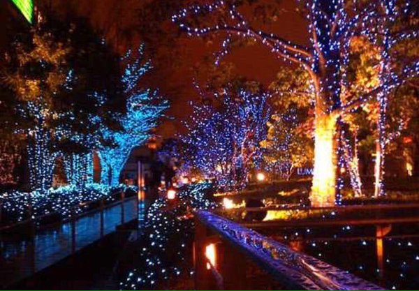 GAFollowers's tweet photo. Your girl would love a date to Atlanta Botanical Gardens to see the lights. 😍 https://t.co/uJshaZE9nL