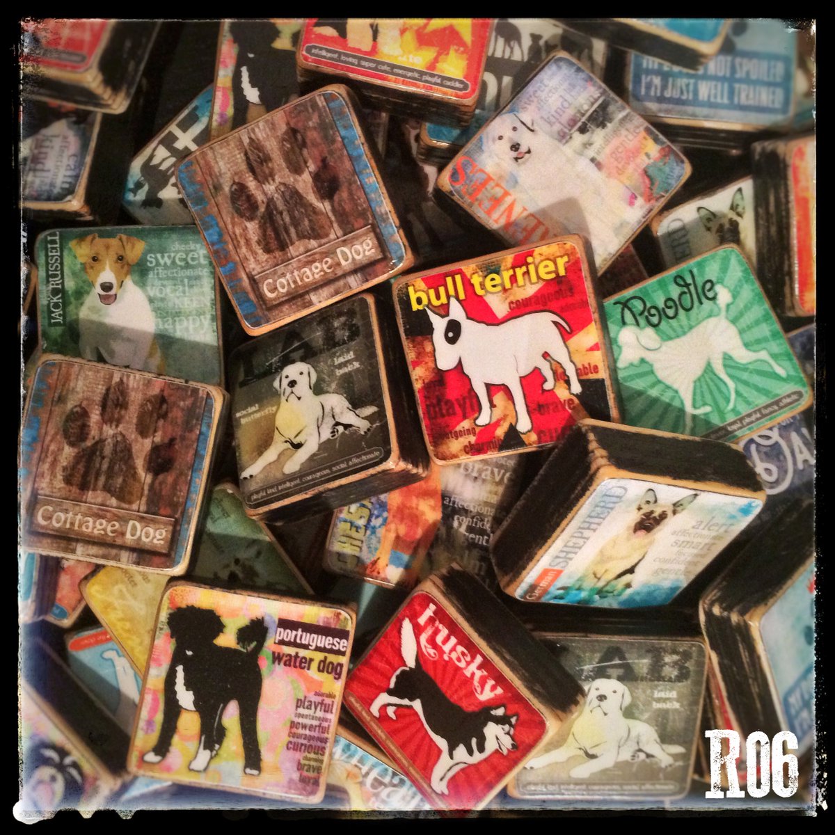 #whatsnew oOodles of RuckusD's Chunky magnets sporting your fav breed. Available only at One of a Kind! <a href="/ooak_toronto/">ooak_toronto</a> #OOAKDiaries #OOAKX16