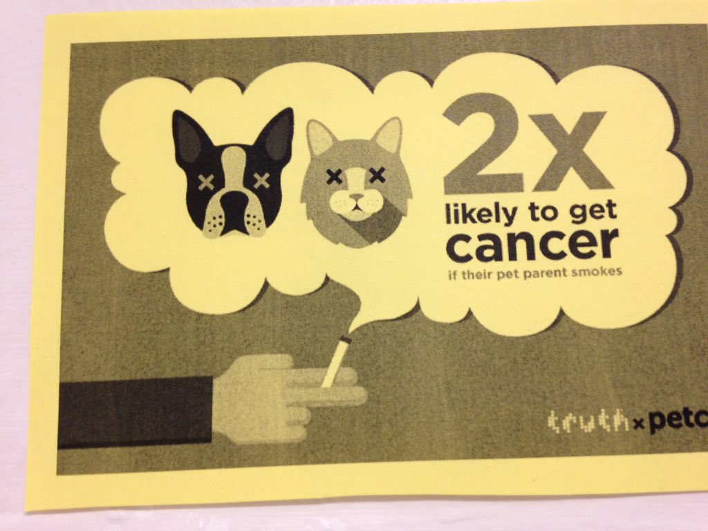 angelrenamccoy's tweet photo. Second hand smoking affects pets too #mhssadd #GASO πΆπ±π¬π«π https://t.co/yWUF5Fjm2t