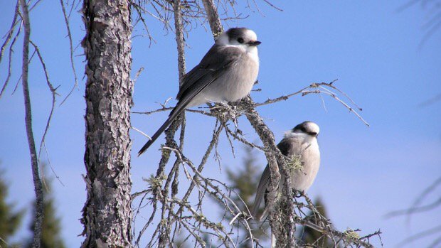 Jason Unruh tweet media