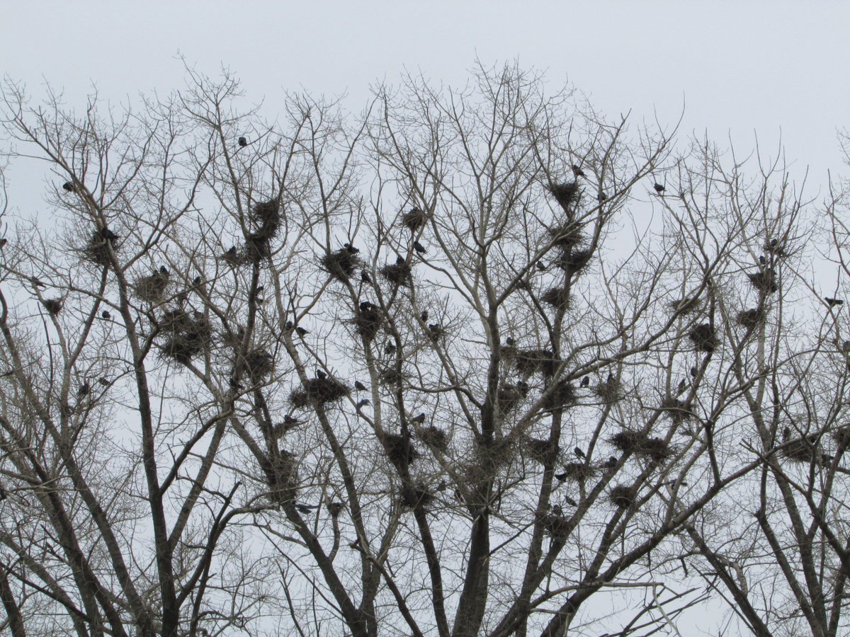 Mikhail Andronik. Donbass.
