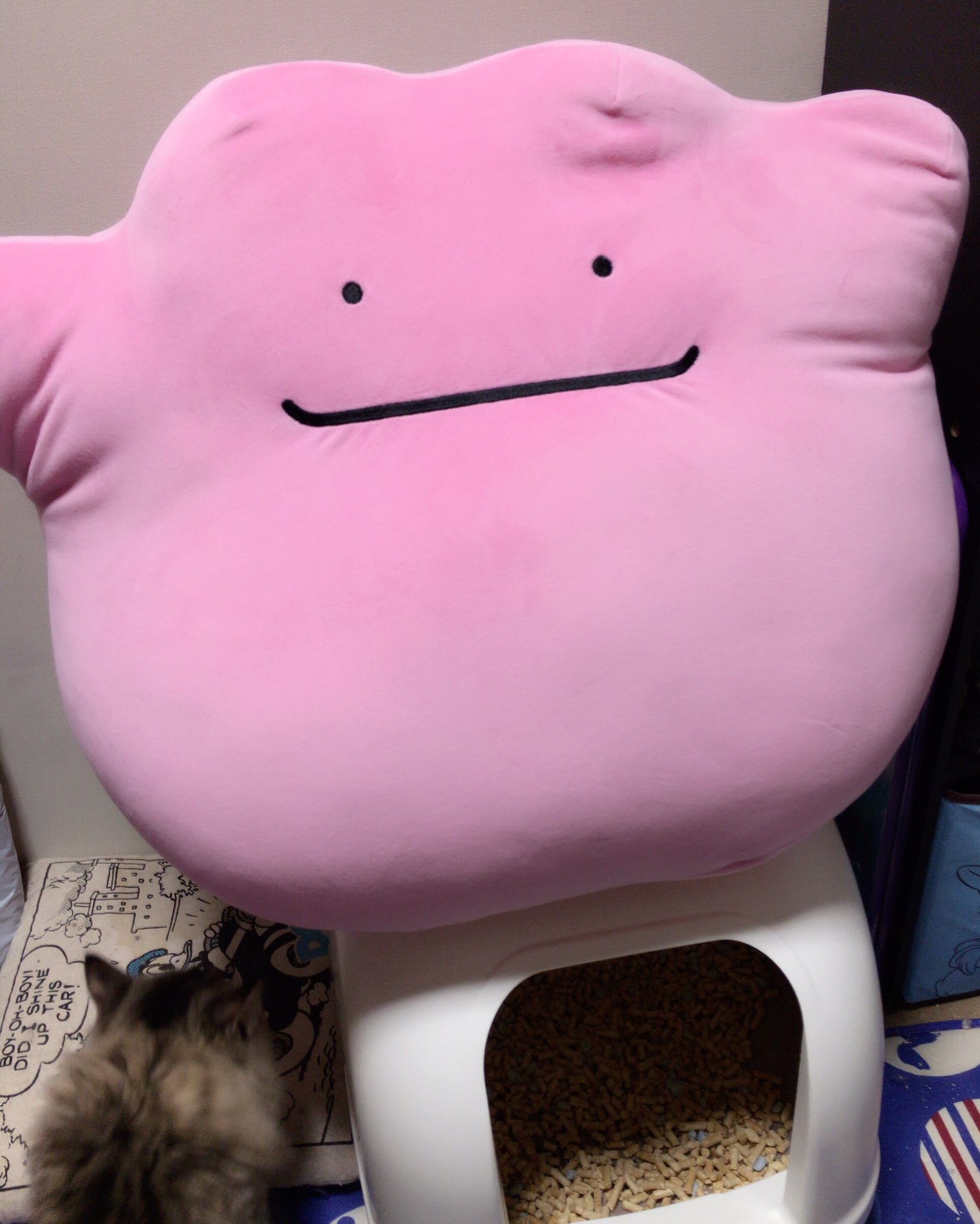 ひまわり荘のぽっちゃん へんしんメタモンピッピと比べると分かりやすい とりあえず置き場所ないから猫のドーム型トイレの上にwwメタモンは生地的に爪とぎされたら辛いかも Pokemon ポケモン 超ビッグサイズもっちりぬいぐるみメタモン T