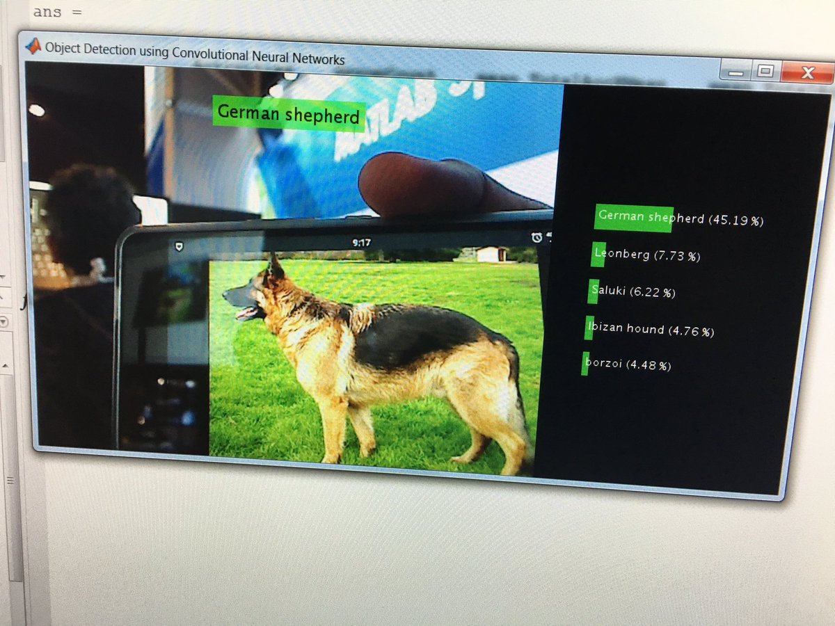 matlablive's tweet image. Are you a dog or a cat person? Come to @MathWorks booth and check if our deep #CNN detects your friend @BigDataSpain #BDS16 #DeepLearning