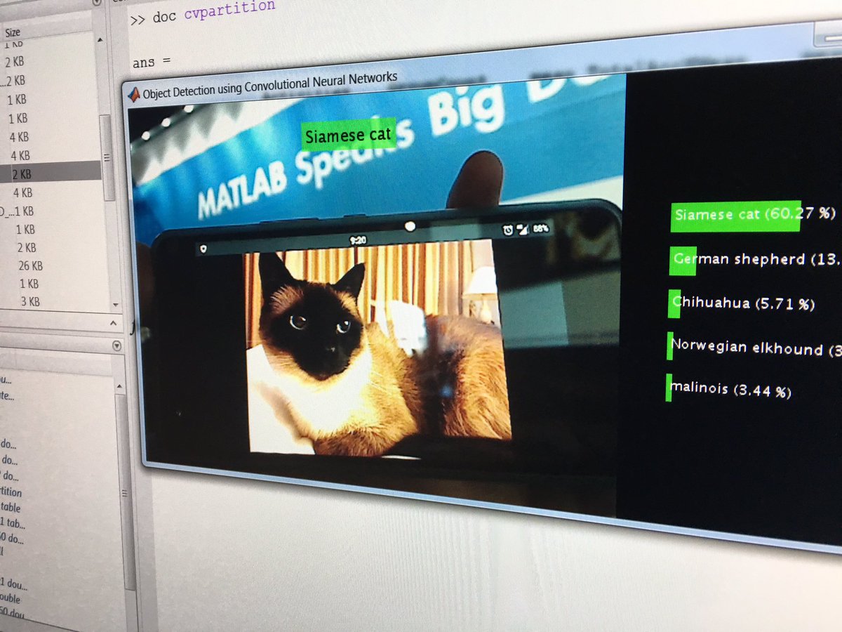 matlablive's tweet image. Are you a dog or a cat person? Come to @MathWorks booth and check if our deep #CNN detects your friend @BigDataSpain #BDS16 #DeepLearning