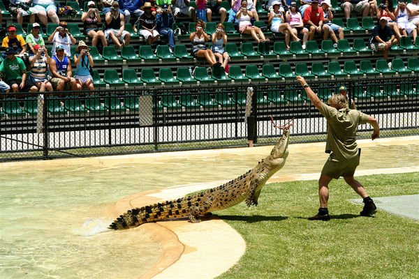 PopSci's tweet photo. A decade after his death, Steve Irwin is still the face of wildlife education https://t.co/6FIo1orgEC https://t.co/2iSMFPbvGk