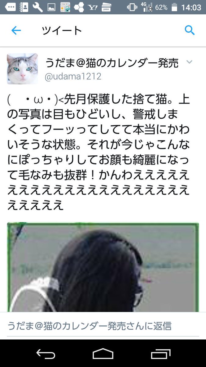 何が起きたの 軽くホラー 昔twitterに投稿した画像が入れ替わってる Togetter