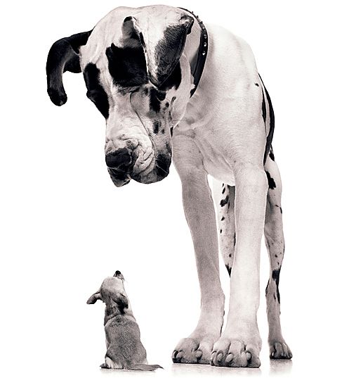 DTNEtiquette's tweet photo. People with superior attitudes looking down on others...is not cool &amp; never will be ~ #DTN #outofcontrolego https://t.co/0SsNkUI4BN