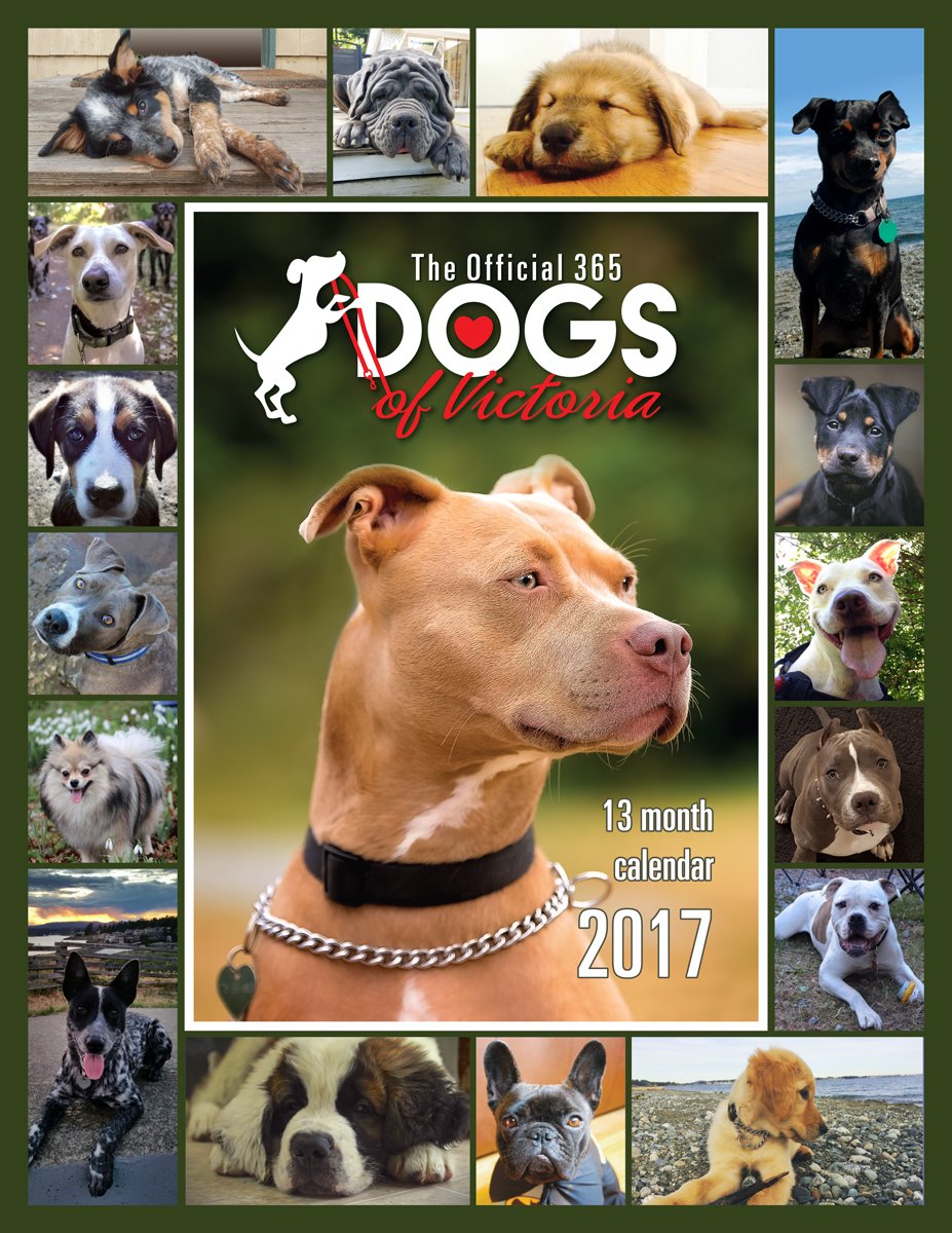 DogsofVictoria's tweet image. PAWfect Xmas gift #doglovers @DogsofVictoria 2017 Calendar %20 off ($15.95 ea) #LimitedTimeOnly #dogsoftwitter #yyj facebook.com/commerce/produ…