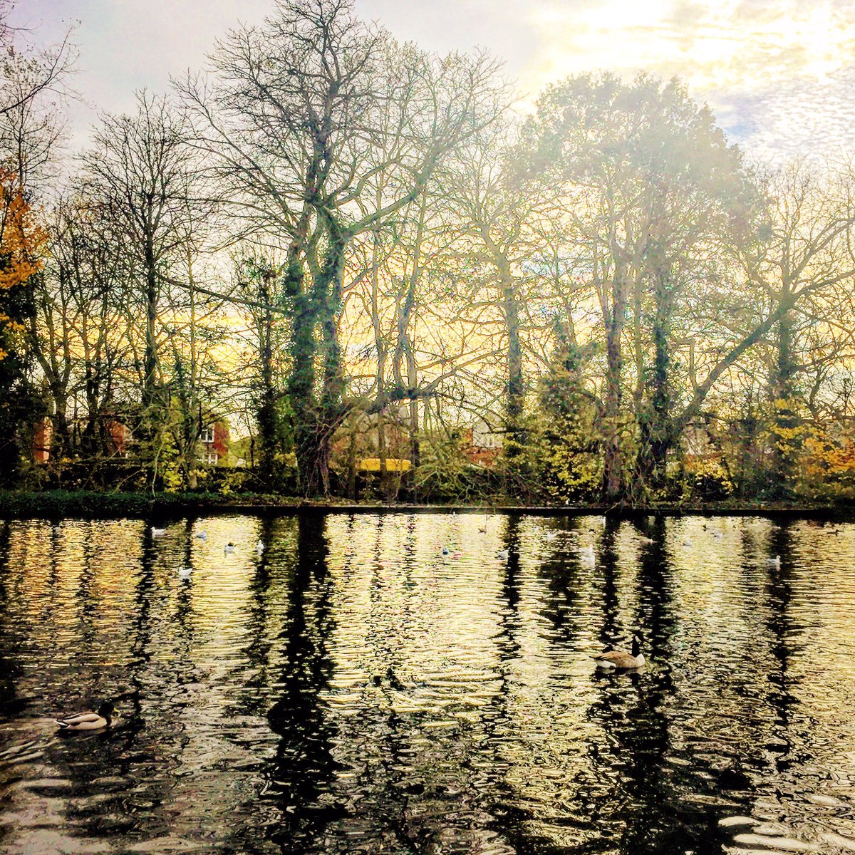 heppinstall18's tweet photo. @WakeExpress some photos that I took @ Thornes Park .. https://t.co/dX9IFThZWd