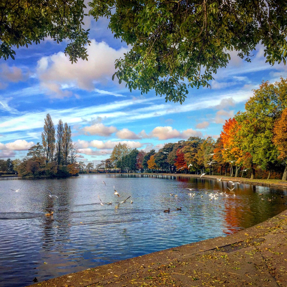 heppinstall18's tweet photo. @PandCExpress pontefract park 🍂❤️👍🏻❤️️🍂 https://t.co/zL5KHYsmgy