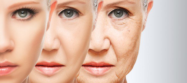 dietrecipesd's tweet image. Just Arrived: The GenF20 Plus Clinical Study Results* dld.bz/eZ6nW