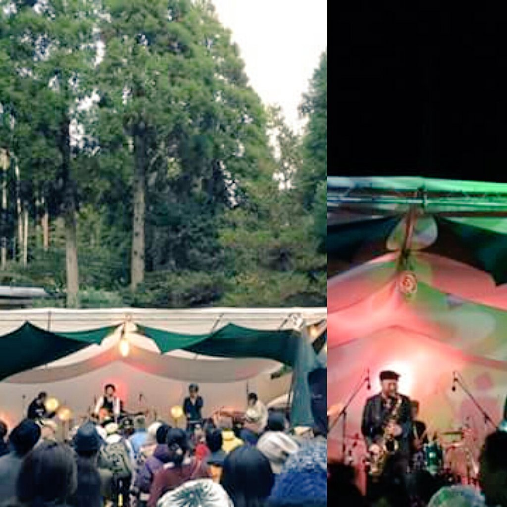 Chanaleaf Twitter Search Twitter