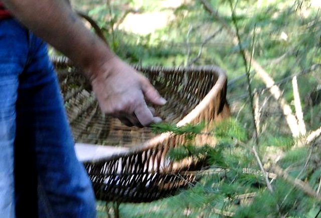 Herfstwildplukken op zo 27 nov in Oudrorp. 11.30 uur verzamelen bij Bakker Beerse, Nyenburgh 113-115, Oudorp NH. Met marcokookt.nl