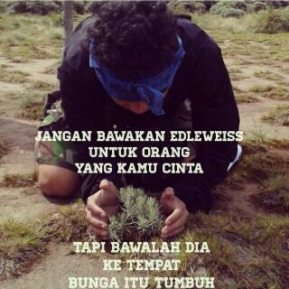 FA (@farhanaay) on Twitter photo 