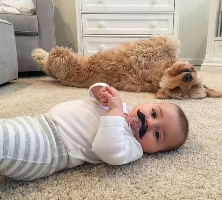 growonwindsor's tweet photo. Looks like everyone is getting in on the action with #GrowOnWindsor! Still time to register@ https://t.co/xWbCKUkFAp today! #KeepFundsLocal https://t.co/N2XdD1OeDm