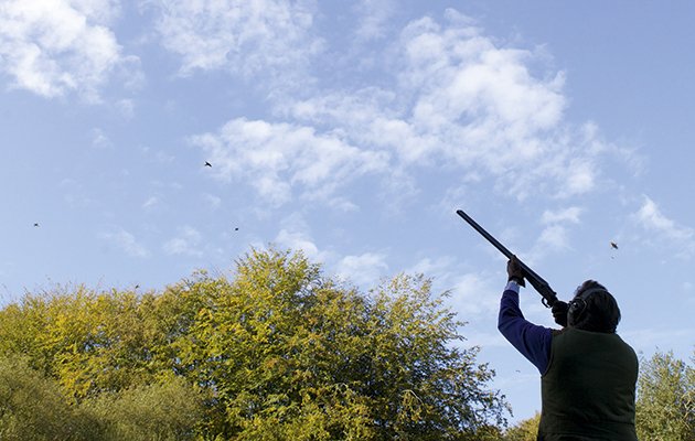 TheFieldmag's tweet photo. George Digweed's pheasant shooting advice. Don't enter the field without it https://t.co/erv5S7bzS3 https://t.co/1O6Ri1Nebl